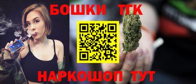 индика Камень-на-Оби