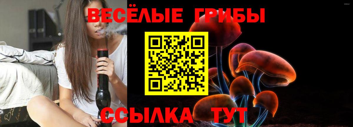 где купить наркоту  Псилоцибиновые грибы Psilocybe  Вход с VPN  Лабинск 